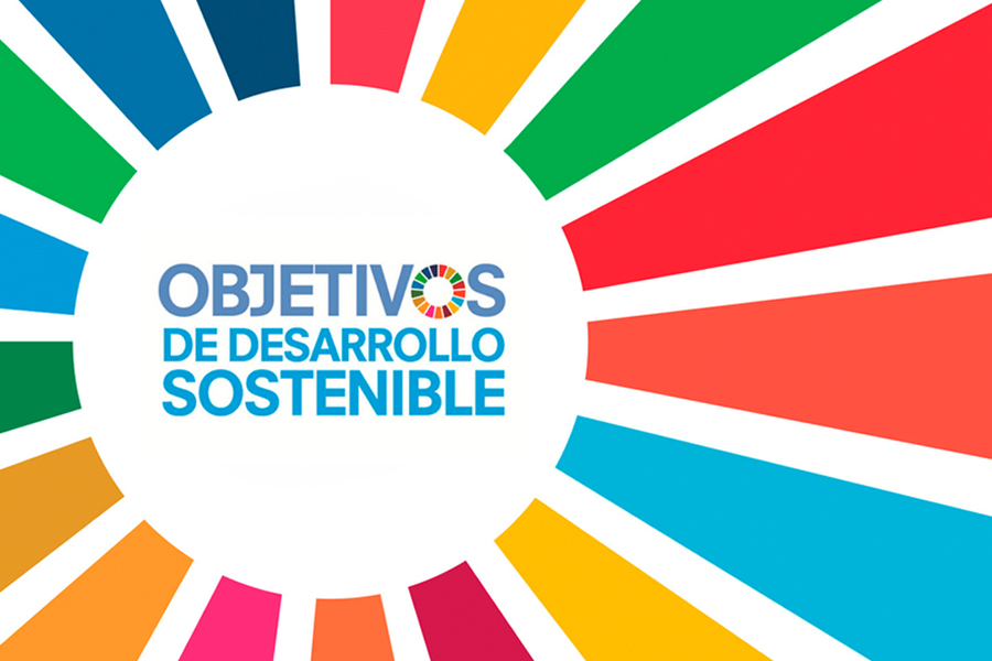 SDGs: Fulfillment of the Sustainable Development Agenda