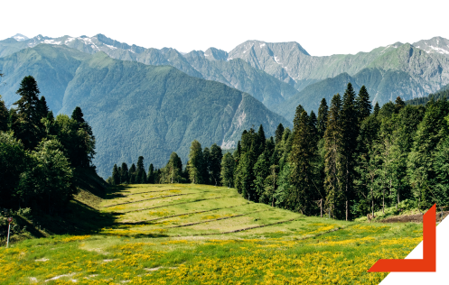 e-144 https://www.provem.com/wp-content/uploads/2021/05/e-144.png