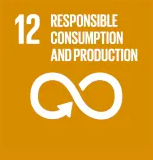 sdgs 12